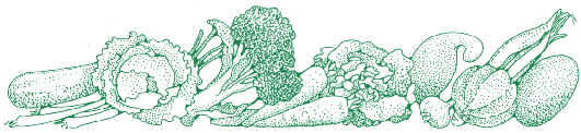 vegetable border